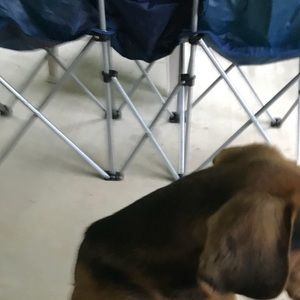 Meet your Posher, Riley